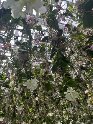 お花に🌸