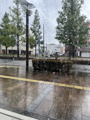 先日の☔続き・・・('ω')ノ
