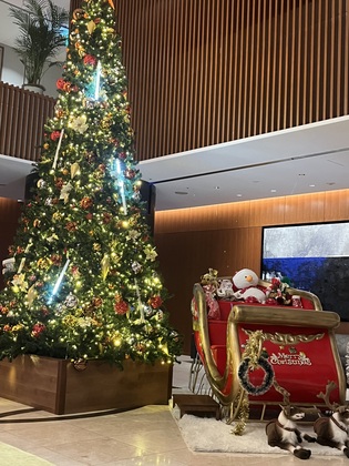 もうすぐクリスマス🤶🎄
