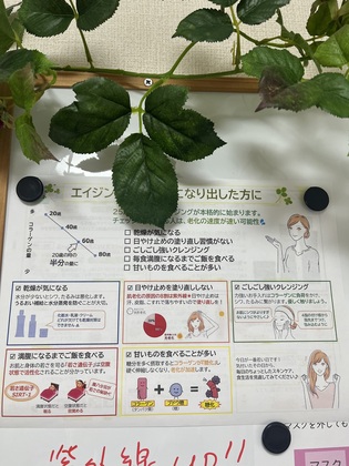 エイジングケア⭐️