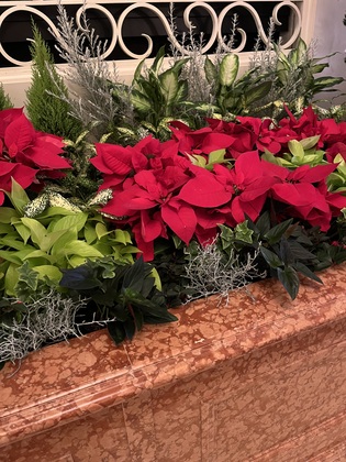 クリスマス🌼