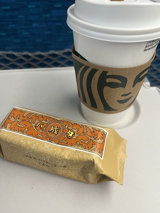 名古屋まで・・新幹線🚄